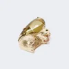 Broche van hars en glas, bruin Broche van hars en glas, bruin