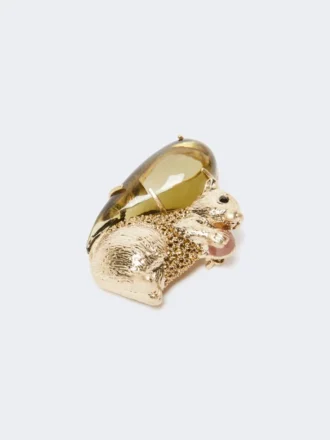 Broche van hars en glas, bruin