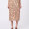 Tule- en paillettenrok, nude Tule- en paillettenrok, nude